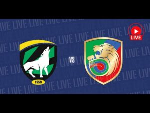 Read more about the article 🔴 NA ŻYWO: Wilkowianka Wilków – Miedź Legnica – mecz kontrolny U17