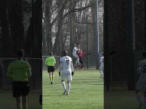 Read more about the article SPARING HUTNIK PODBESKIDZIE BRAMKI