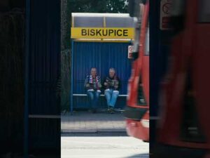 Read more about the article …bo my kochamy Cię! #gornikzabrze #football #mecz #match #ekstraklasa