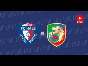 Read more about the article 🔴 NA ŻYWO:  FC Haje Jizni Mesto Praga –  Miedź Legnica (U13)