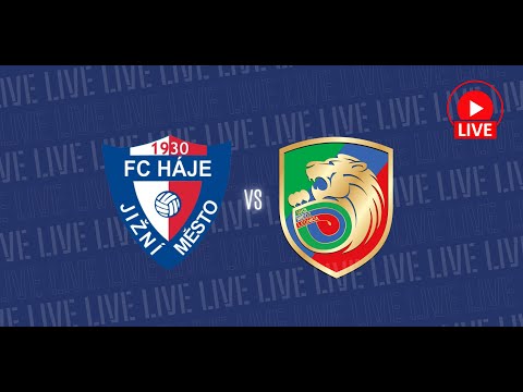 Read more about the article 🔴 NA ŻYWO:  FC Haje Jizni Mesto Praga –  Miedź Legnica (U13)