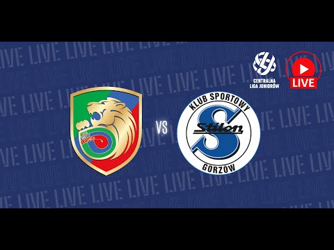 Read more about the article 🔴 NA ŻYWO: Miedź Legnica – Stilon Gorzów  (CLJ U17)