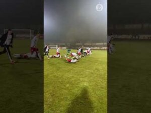 Read more about the article Jaskółka w Głogowie | #shorts