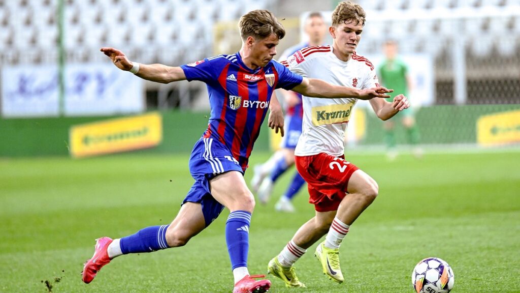 20250417PAP020 1024x576 1 | AleMecz.pl