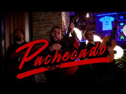 You are currently viewing Pachecado