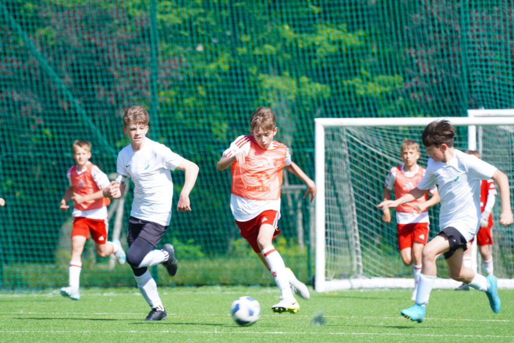 DSC03890 1024x683 1 | AleMecz.pl