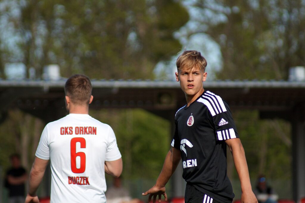 DSC09514 1024x682 1 | AleMecz.pl