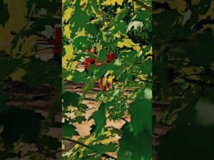 Read more about the article Zaczynamy treningi przed sezonem 2025/2026