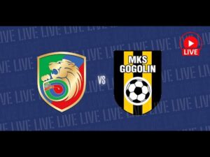 Read more about the article 🔴 NA ŻYWO: Miedź Legnica – MKS Gogolin (LM U19)