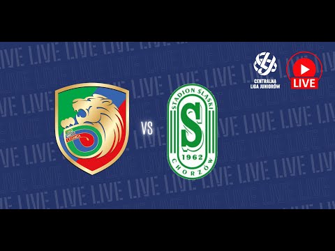 Read more about the article 🔴 NA ŻYWO: Miedź Legnica –  Stadion Śląskich Chorzów  (CLJ U15)