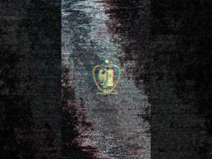 Read more about the article 80.