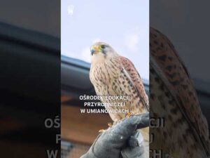 Read more about the article Odwiedziliśmy Ośrodek Edukacji Przyrodniczej w Umianowicach! 🟡🔴