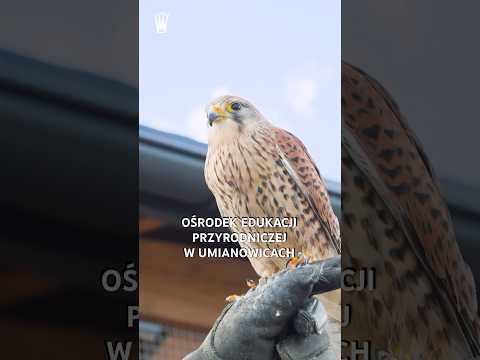 You are currently viewing Odwiedziliśmy Ośrodek Edukacji Przyrodniczej w Umianowicach! 🟡🔴