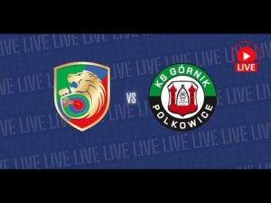 Read more about the article 🔴 NA ŻYWO: Miedź Legnica – Górnik Polkowice (LM U19)