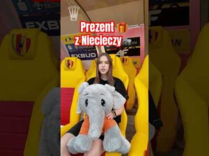 Read more about the article Zaskoczyli Nas❗️Nietypowy prezent od #TermalicaNieciecza 🐘🎁