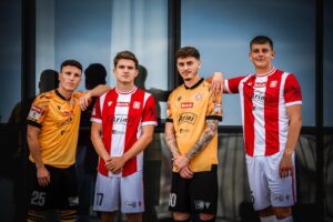 DSC 6570 300x200 1 | AleMecz.pl