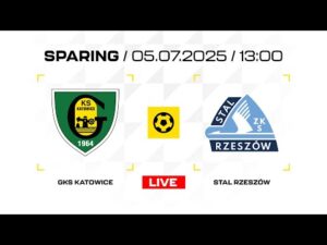 Read more about the article Sparing: GKS Katowice – Stal Rzeszów [NA ŻYWO]