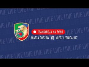 Read more about the article 🔴 NA ŻYWO: Warta Gorzów – Miedź Legnica U17