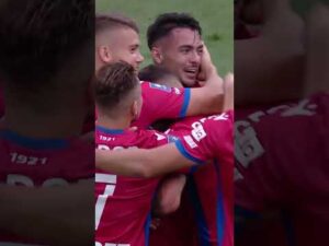 Read more about the article Dziś urodziny Davida Tijanicia! 🥳