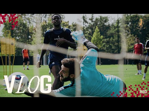 You are currently viewing VLOG | CZTERY DNI DO GÓRNIKA | PRACA NA SIŁOWNI I BOISKU