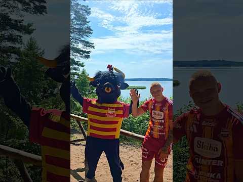 Read more about the article Piękne, bo #chojnickie #chojniczanka #borytucholskie