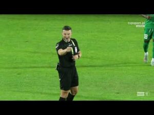 Read more about the article Pogoń Siedlce – Puszcza Niepołomice [SKRÓT]