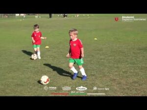 Read more about the article FESTYN RODZINNY | NABÓR | ZABAWA | TRENINGI |