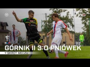 Read more about the article Drugi Górnik z pewną wygraną! Skrót meczu z Pniówkiem