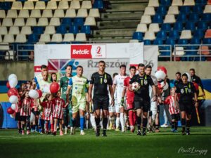 DSC 7404 300x225 1 | AleMecz.pl