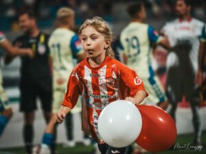 DSC 7442 300x225 1 | AleMecz.pl