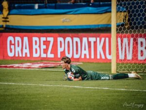 DSC 7517 300x225 1 | AleMecz.pl