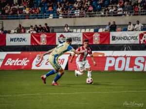 DSC 7597 300x225 1 | AleMecz.pl