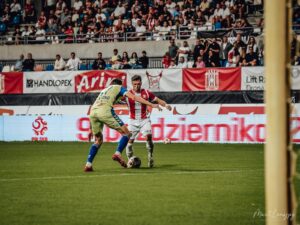 DSC 7601 300x225 1 | AleMecz.pl