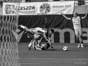 DSC 7608 300x225 1 | AleMecz.pl