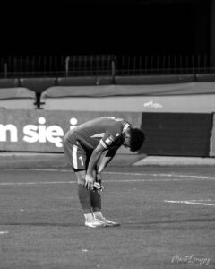 DSC 8301 240x300 1 | AleMecz.pl