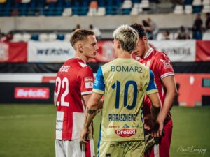 DSC 8327 300x225 1 | AleMecz.pl