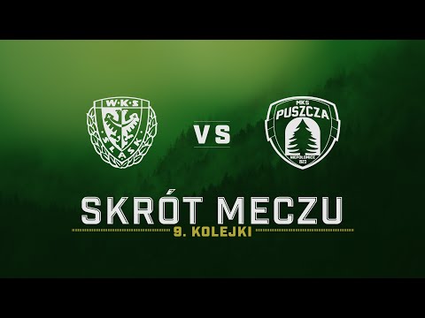 You are currently viewing ŚLĄSK WROCŁAW VS PUSZCZA NIEPOŁOMICE | SKRÓT MECZU