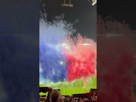 Read more about the article Te barwy! 🤩  #piastgliwice #ekstraklasa #football #soccer