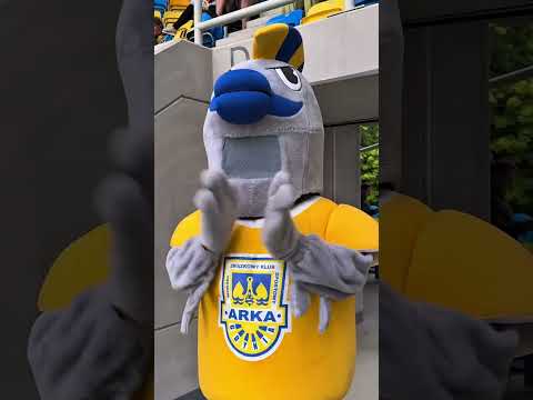 You are currently viewing ARKA GDYNIA – WISŁA PŁOCK 1:0 #shorts #football #piłkanożna #soccer #sports