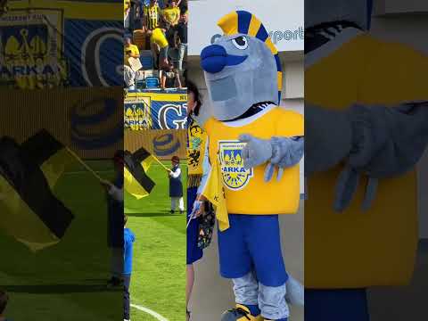 You are currently viewing KASZEBE ZNACZI ARKA #football #sports