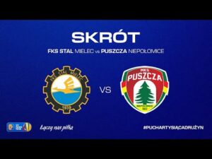 Read more about the article SKRÓT | FKS Stal Mielec – Puszcza Niepołomice