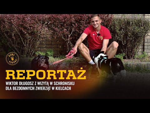 You are currently viewing Wiktor Długosz w Schronisku Dla Bezdomnych Zwierząt w Kielcach