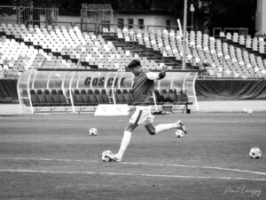 DSC 5279 300x225 1 | AleMecz.pl