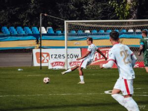 DSC 5563 300x225 1 | AleMecz.pl