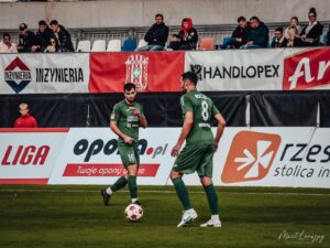 DSC 5681 300x225 1 | AleMecz.pl