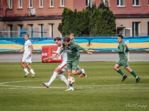 DSC 5771 300x225 1 | AleMecz.pl