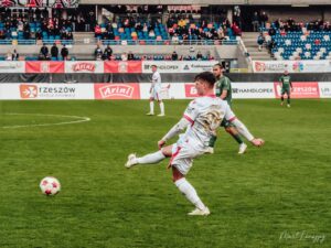 DSC 6231 300x225 1 | AleMecz.pl