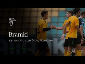 Read more about the article BRAMKI ZE SPARINGU GÓRNIK ŁĘCZNA – STAL RZESZÓW