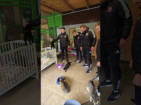 You are currently viewing Sztab szkoleniowy Chojnicanki oraz kapitan Valerijs Sabala z wizytą w Schronisku „Przytulisko”