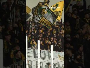 Read more about the article Nowa przyśpiewka kibiców GieKSy